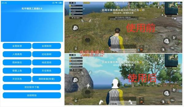 和平精英直装辅助与框架辅助区别(直装辅助与框架辅助的价格对比)