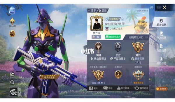 vx和平精英辅助器手机版下载（和平精英辅助器的法律风险）