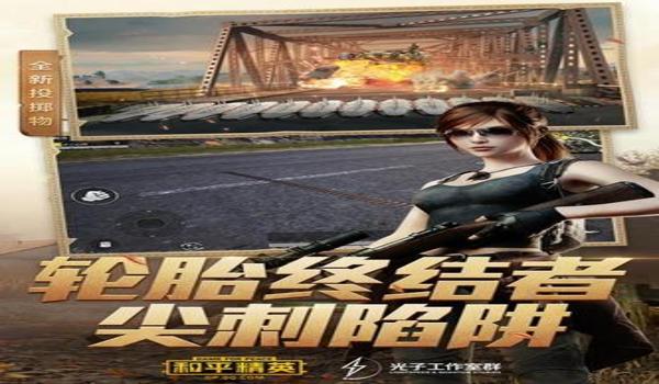 和平精英皮卡丘直装辅助软件（和平精英辅助软件排行榜）