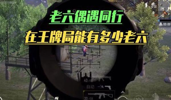 主播遇到挂和平精英怎么解决（各大主播遇到外挂和平精英）
