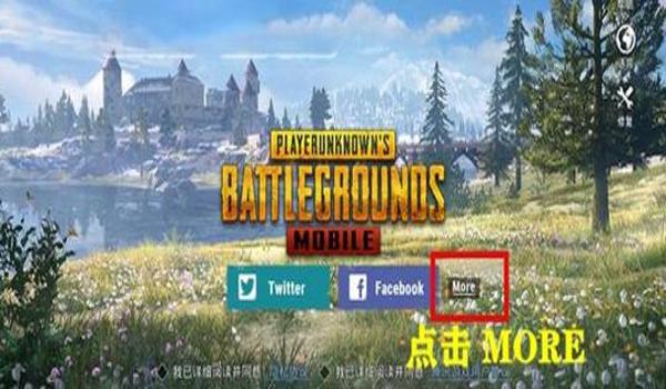 手游国际服吃鸡挂怎么开（手游国际服吃鸡挂的风险）