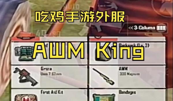 吃鸡手游辅助设备(吃鸡手游辅助设备的选购技巧)