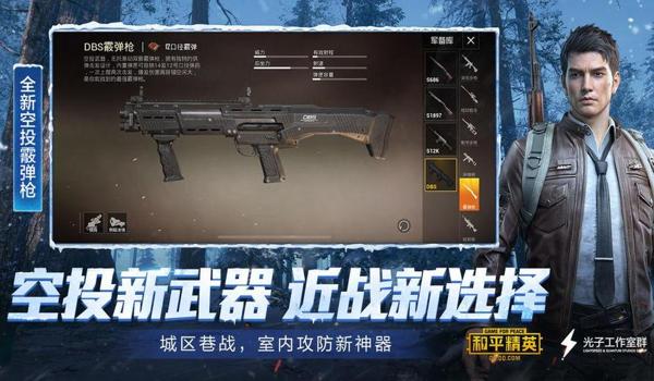 和平精英辅助直装稳吗(和平精英辅助直装稳定性分析)