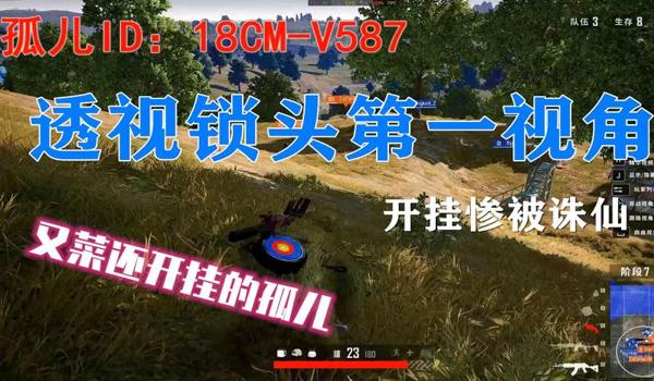 苹果手机如何辅助吃鸡(苹果手机如何在吃鸡开挂)