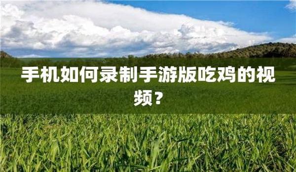 手游轻量版吃鸡辅助器（如何自制手游吃鸡辅助器）