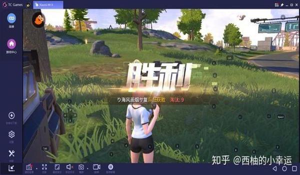手游吃鸡挂去哪里买（手游吃鸡挂的使用技巧）