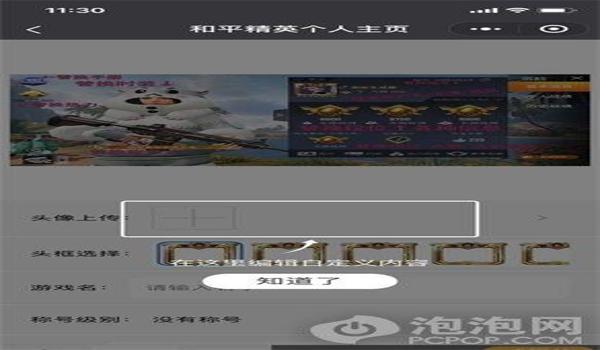 和平精英挂免费软件手机(和平精英挂软件的开发难度)