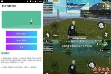 和平精英辅助透视模拟器（和平精英辅助软件的法律风险）