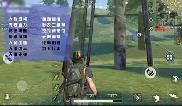 手游吃鸡挂一般多少钱（热门手游吃鸡挂价格对比）