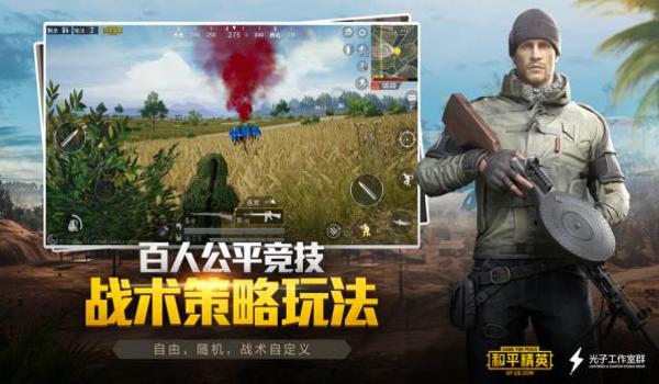 和平精英免费直装辅助网站(和平精英辅助网站安全性)