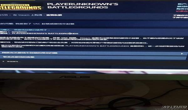 网易出的吃鸡pc有挂么(网易反外挂技术更新)