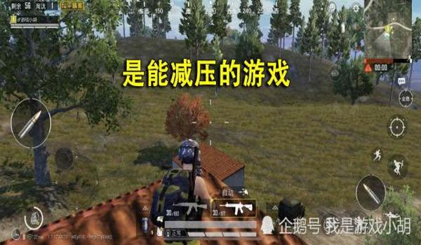 怎样开挂吃鸡游戏教程手机版（吃鸡游戏中的公平竞技玩法）