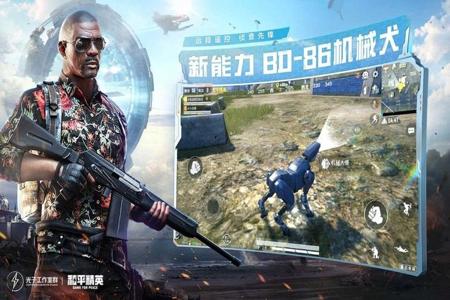 和平精英电脑版闪电辅助(和平精英闪电辅助的用户评价)
