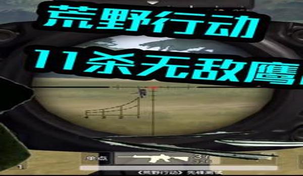 荒野行动手游吃鸡辅助（荒野行动辅助的法律后果）