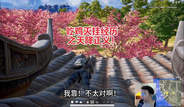 吃鸡开挂去打职业会怎么样（吃鸡开挂的人组队会怎么样）