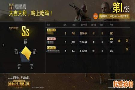 刺激战场pc模拟吃鸡辅助免费(刺激战场PC模拟吃鸡辅助免费)