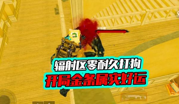 和平精英辅助妹控直装(和平精英辅助工具排行)