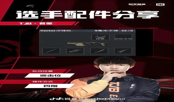和平精英手机版辅助官网（和平精英辅助官网的用户评价如何）