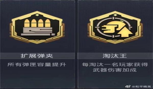 和平精英鸡王透视辅助ios(和平精英透视辅助器app ios)