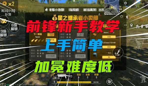 菜鸟和平精英辅助器手机版（菜鸟和平精英辅助器手机版）