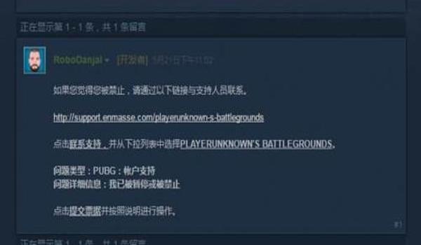 电脑吃鸡如何开挂不封号（提升电脑性能以畅玩吃鸡）