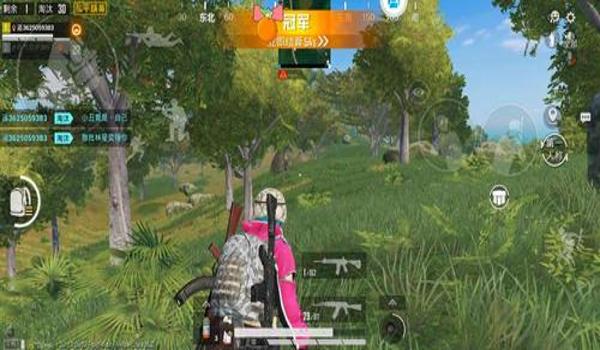 和平精英透视挂ios2020（和平精英透视辅助下载ios）