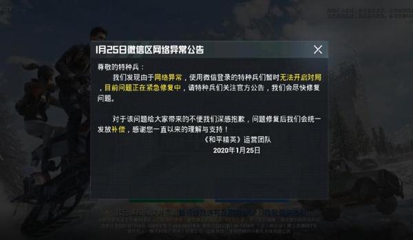 和平精英直装辅助哪个好用(和平精英直装辅助最新排行榜)