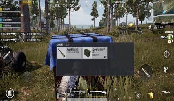 荒野吃鸡pc挂（荒野吃鸡PC版外挂问题）
