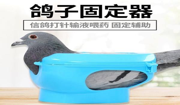 和平精英辅助工具透视下载手机版（和平精英辅助工具透视的使用教程）
